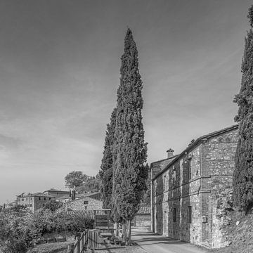 Italy in square black and white -Lucignano d'Asso - Tuscany II