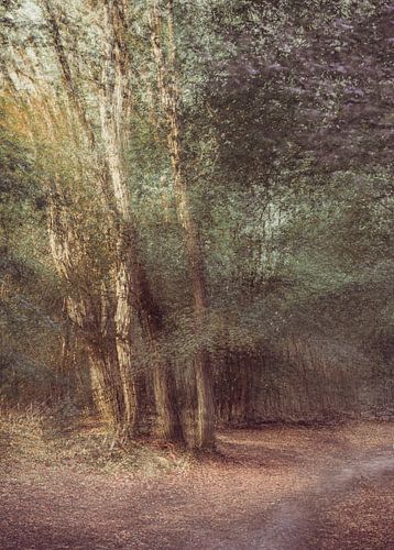 Renkums brook valley part 1