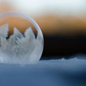 Winter - Bevroren zeepbel IV van Gerben van den Hazel