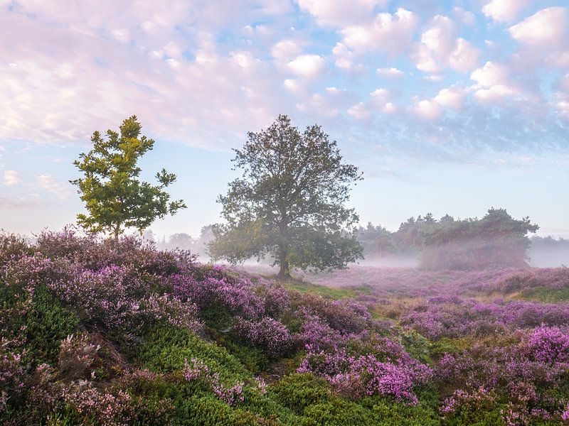 Farben von snippefotografie