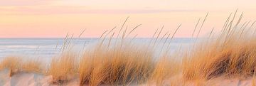 Strandlandschap in het avondlicht van Poster Art Shop