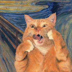 oranje katten grappig van rinda ratuliu