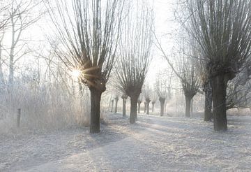 Winter landschap sur Ingrid Van Damme fotografie