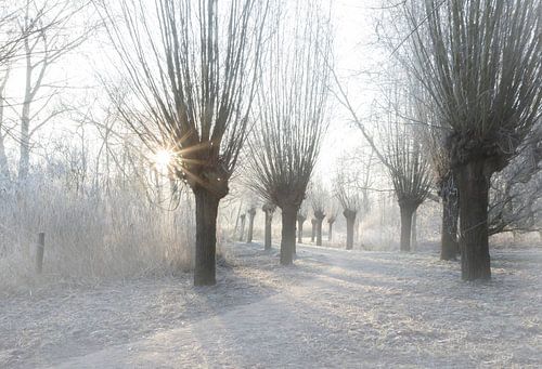 Winter landschap