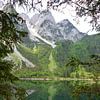 Reflet dans le lac Gosausee dans le Salzkammergut. sur My Footprints