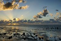 Wadden Sea
