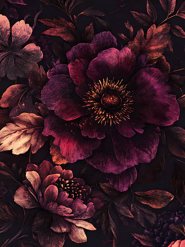 The most beautiful flowers