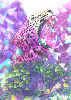 Trippy Cheetah