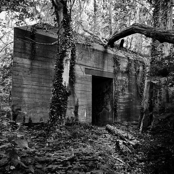 Bunker in de wildernis von Erwin Zeemering