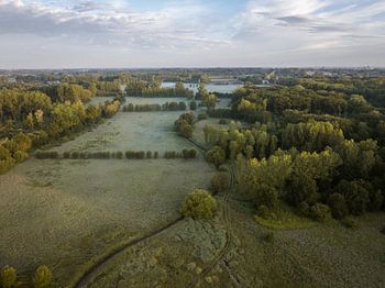 Nietelbroeken (Haspengouw) - Ochtendgloren over Nietelbroeken 2