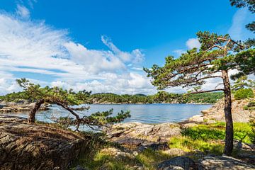 Landschap op het schiereiland Riveneset in Noorwegen