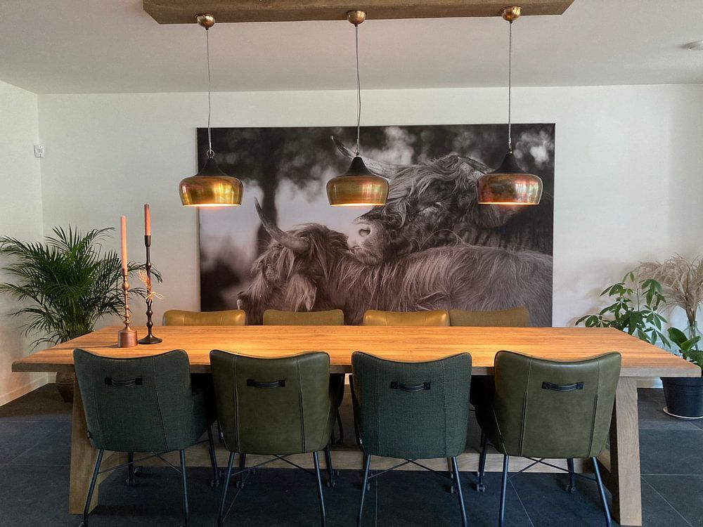 Schottischer Highlander-Bulle beim Flirten mit einer Kuh  von Peter de Kievith 