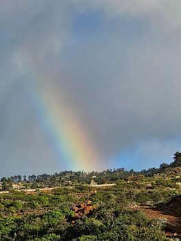 Regenbogen Landschaft