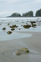 Beach on Vancouver Island on Canada's west coast