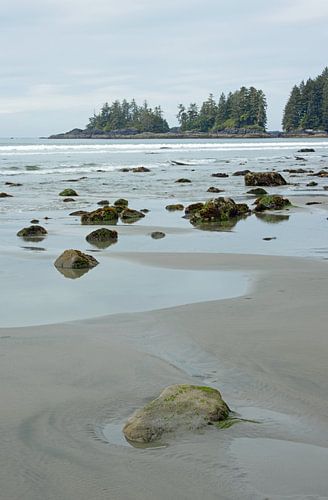 Beach on Vancouver Island on Canada's west coast