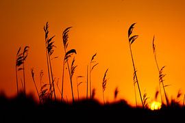 Coucher de soleil sur Veri Gutte