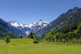 Le réveil du printemps à l'ombre de la Trettachspitze sur Walter G. Allgöwer