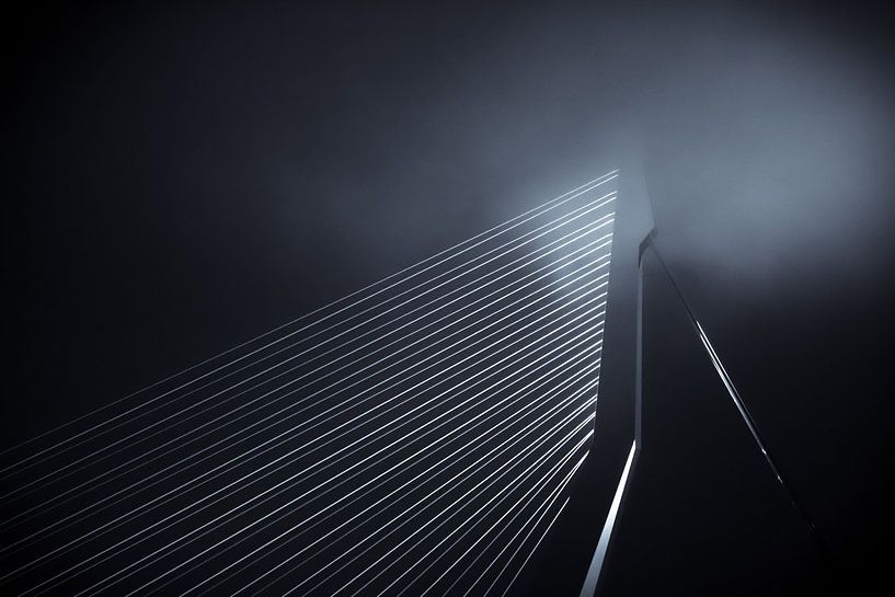 Nuit brumeuse par SVPhotographie