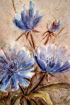 Along the road  - chicory  by Christine Nöhmeier