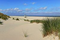 Terschelling dune landscape with drowning house
