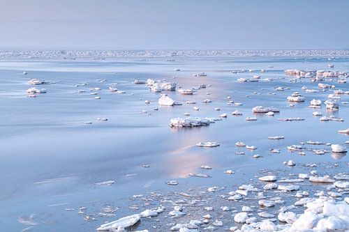 Wad - Winter Wonderland 1