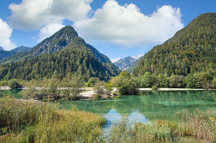 im Triglav-Nationalpark von Peter Eckert