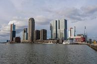 de Rotterdamse skyline kop van zuid, Nederland van Tjeerd Kruse thumbnail