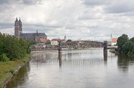 Uitzicht over de Elbe richting Magdeburg van t.ART thumbnail