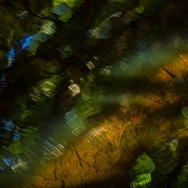 Spiegelung im stillen Wasser - Kunstvolle Naturfotografie von Sia Windig