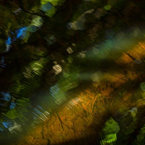 Reflection in still water - Fine-art nature photography by Sia Windig