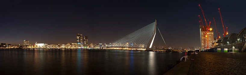 Panorama of the Rotterdam skyline  by Rene du Chatenier