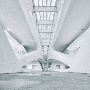 Palau de les Arts Reina Sofía, Valencia van David Bleeker