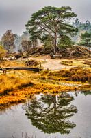 De heide gespiegeld in het water, Heidestein