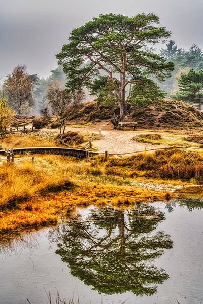 De heide gespiegeld in het water, Heidestein van Ferdinand Mul