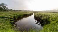 Holle Beetse Vennenkamp