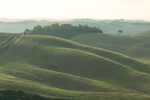 prachtige glooiende heuvels van Toscane
