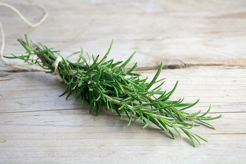 Strauß Rosmarinkraut, Rosmarinus officinalis, auf einem rustikalen Holztisch, Kopierraum, Nahaufnahm