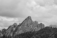 Ruchenköpfe in schwarz-weiß