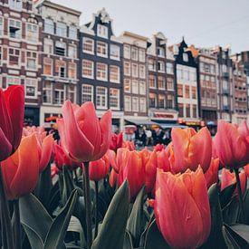 Tulpen  van Een Wasbeer