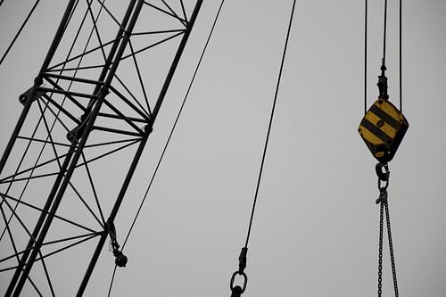 Crane Composition van Goldmund Photography