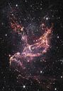 Stervormend gebied NGC 346 van NASA and Space thumbnail