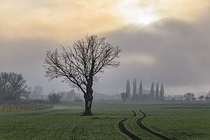 Herbststimmung von Heinz Grates