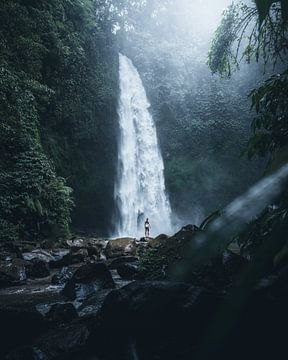 Indrukwekkende waterval in de jungle van Bali van Dylan Shu Photography