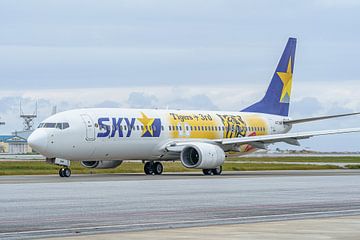 Skymark Airlines Boeing 737-800 met speciale Tiger livery.
