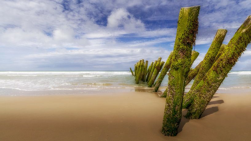 Opal Coast by Frans Nijland