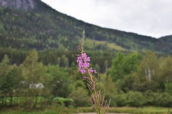 Die Farben Norwegens