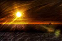 evening sun