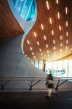 Met langesluitertijd foto van de Lijnen van het Centraal station van Arnhem