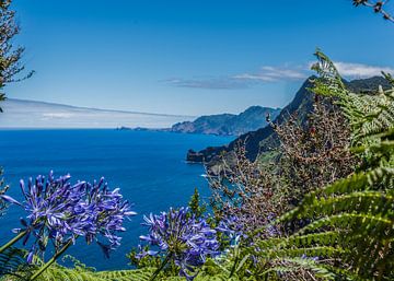 Bloemrijk zicht op de Oceaan ( Madeira) van Arie Jan van Termeij