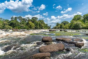 Awaradam Suriname Fluss